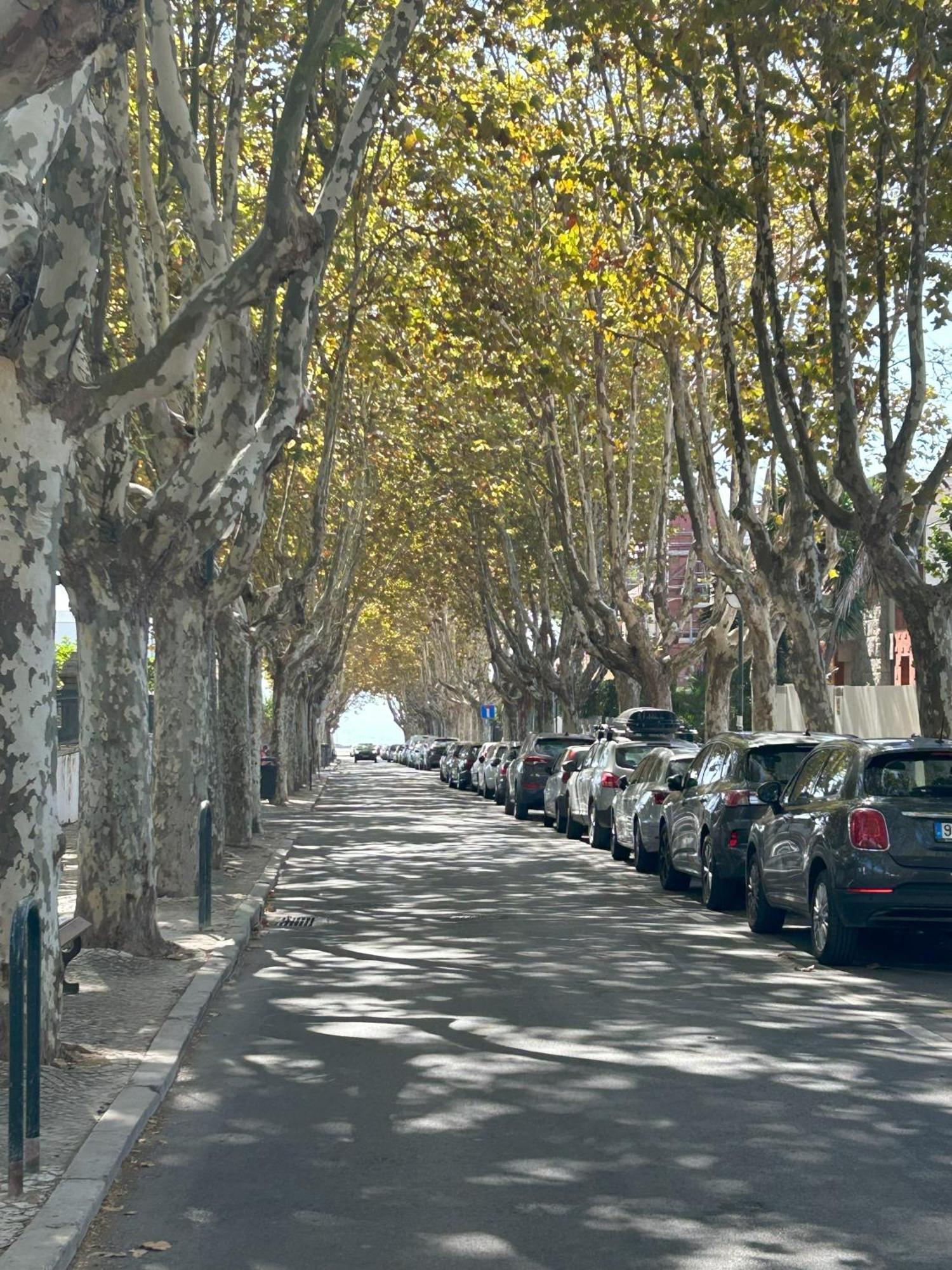 Mar Verde - Parede-Cascais Kültér fotó